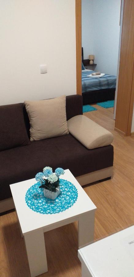 Apartman Golubovic Veliko Gradište 外观 照片